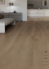 Serie Tendence fronte