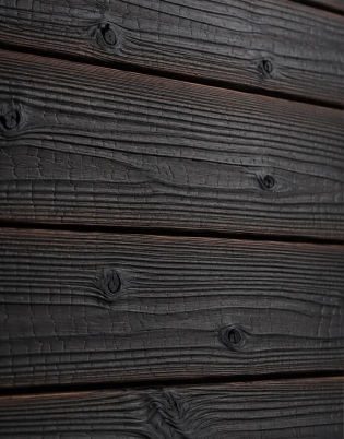 Immagine 1 di Gendai G14 101 – Legno Carbonizzato Nakamoto Forestry